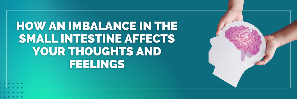 How an Imbalance in the Small Intestine Affects Your Thoughts and Feelings